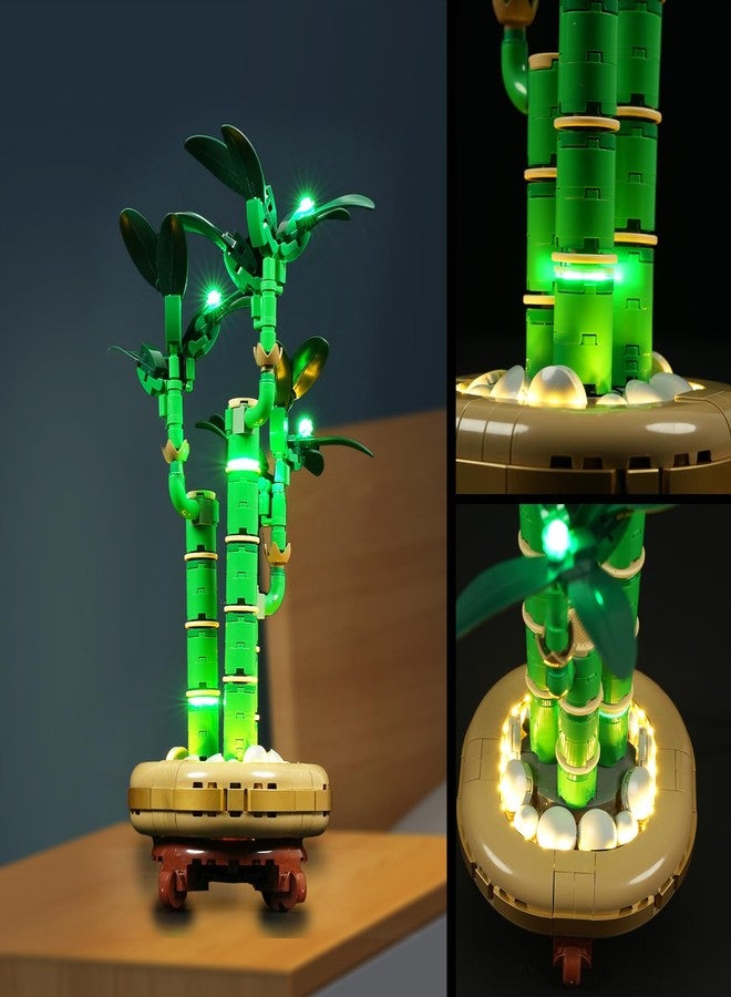 Vaodest مصباح Vaodest LED لمجموعة Lego 10344 Lucky Bamboo (متوافق مع مكعبات بناء Lego 10344، مصباح LED فقط) - Image 4